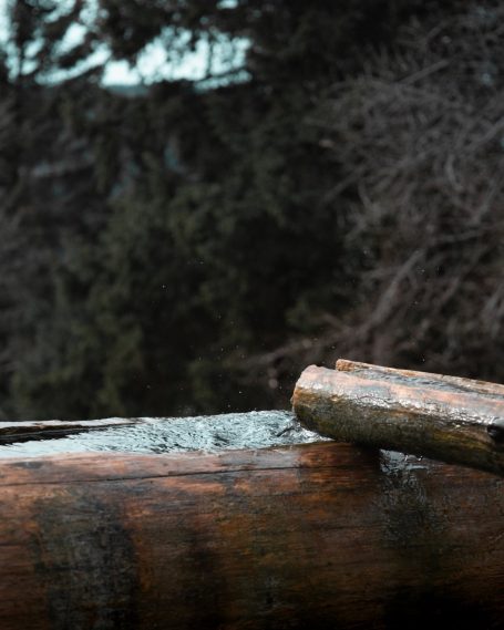 Een houten log met wat waterdruppels, omgeven door groene bomen.